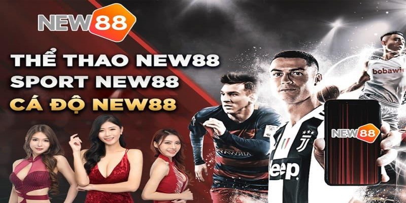 Trang cá độ bóng đá uy tín nhất Việt Nam New88 là lựa chọn đa dạng